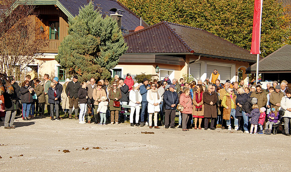 Leonhardireiten und Fahren