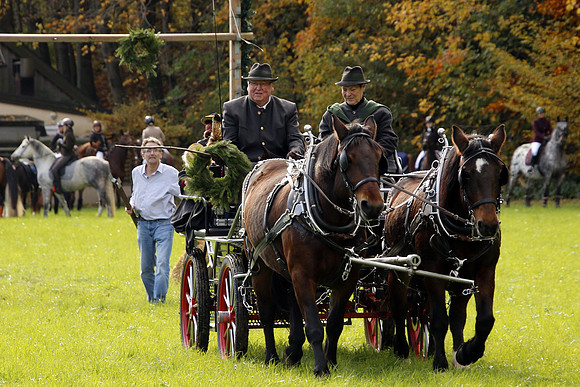 Leonhardireiten und Fahren