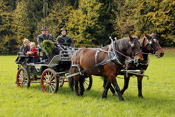 Leonhardireiten und Fahren