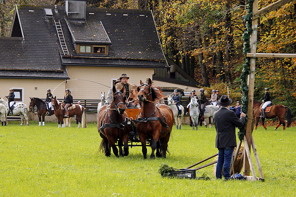Leonhardireiten und Fahren