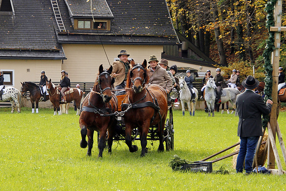 Leonhardireiten und Fahren