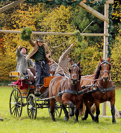 Leonhardireiten und Fahren
