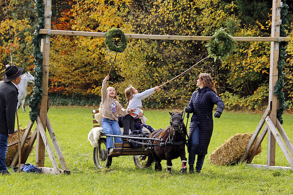 Leonhardireiten und Fahren