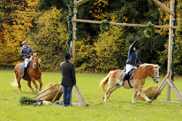 Leonhardireiten und Fahren