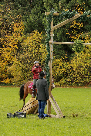 Leonhardireiten und Fahren