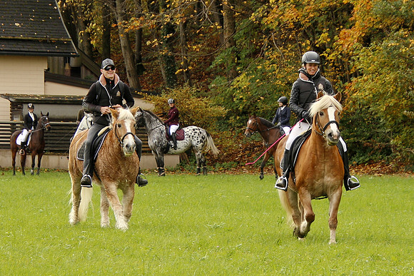 Leonhardireiten und Fahren