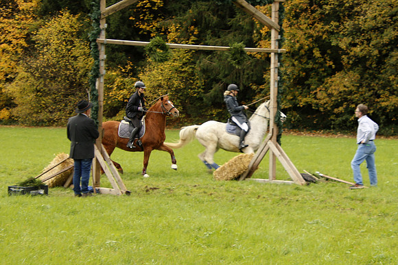 Leonhardireiten und Fahren