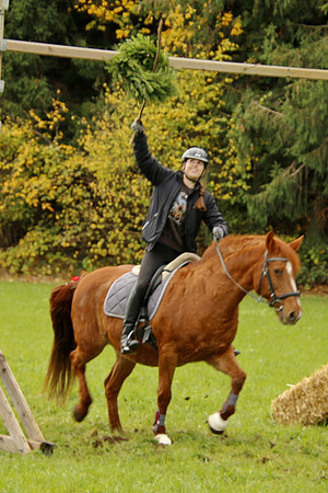 Leonhardireiten und Fahren