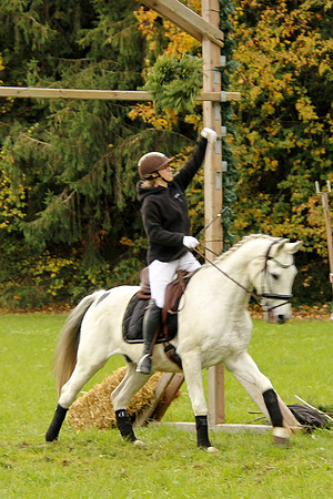 Leonhardireiten und Fahren