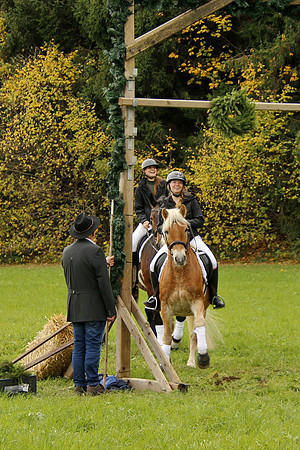 Leonhardireiten und Fahren