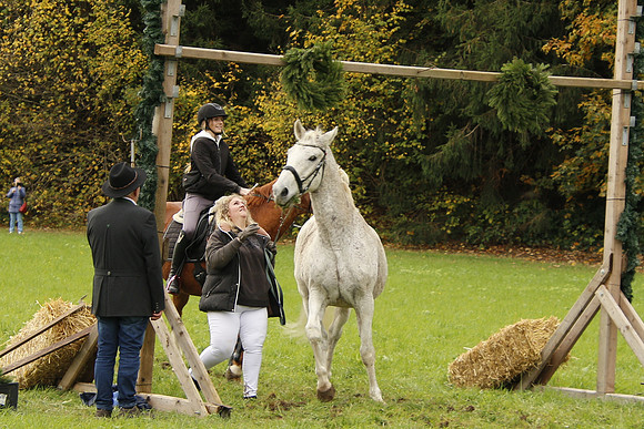 Leonhardireiten und Fahren