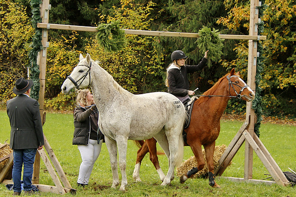 Leonhardireiten und Fahren