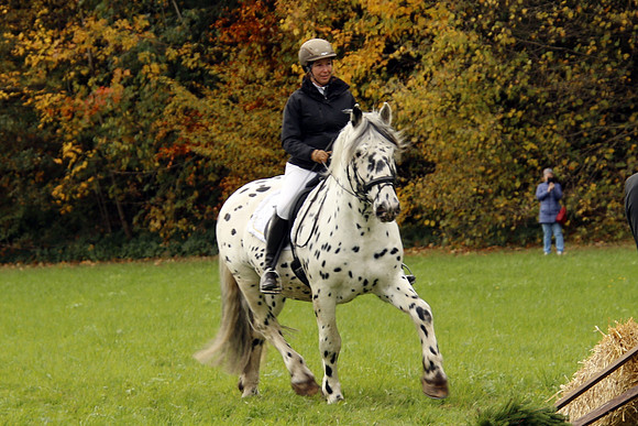 Leonhardireiten und Fahren