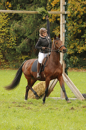 Leonhardireiten und Fahren