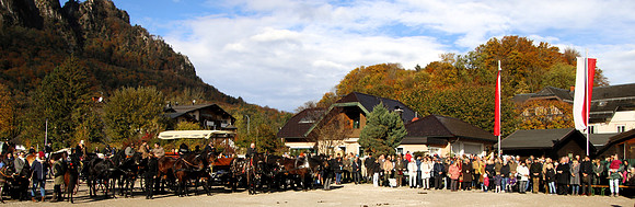 Leonhardireiten und Fahren