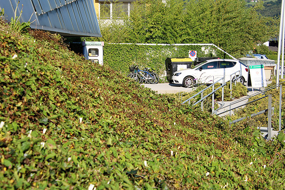 Teststraße & Impfung in Rif