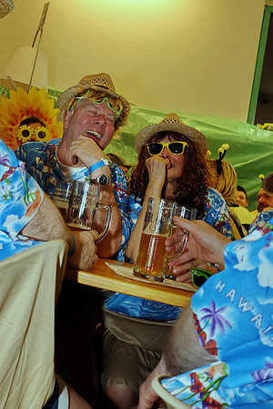 Feuerwehr Maskenball Bad Vigaun
