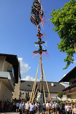 01.05.2014 Maibaumaufstellen Bad Vigaun
