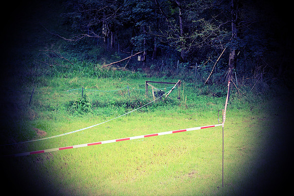 Letzter Schliff bei Wildsau-Dirt-Run 2016