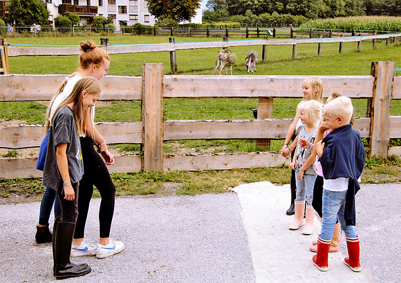 Bauernhofmarkt bei Fam. Fuchs