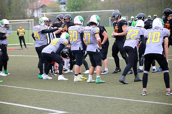 Salzburg Ducks gegen Domzale Tigers
