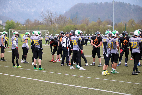 Salzburg Ducks gegen Domzale Tigers