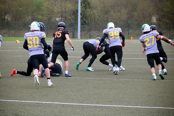 Salzburg Ducks gegen Domzale Tigers