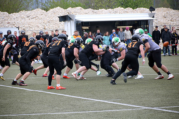 Salzburg Ducks gegen Domzale Tigers