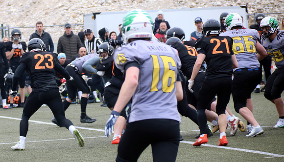 Salzburg Ducks gegen Domzale Tigers