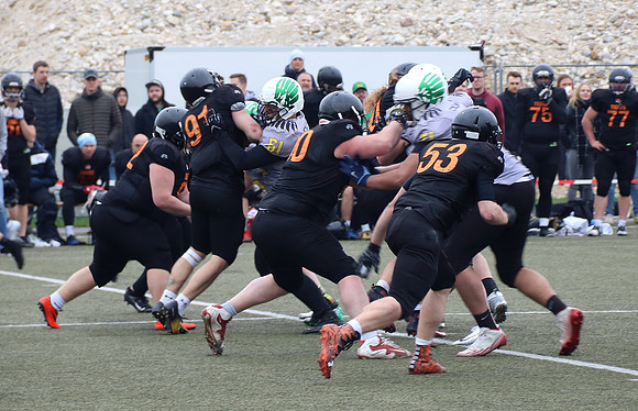 Salzburg Ducks gegen Domzale Tigers