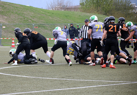 Salzburg Ducks gegen Domzale Tigers