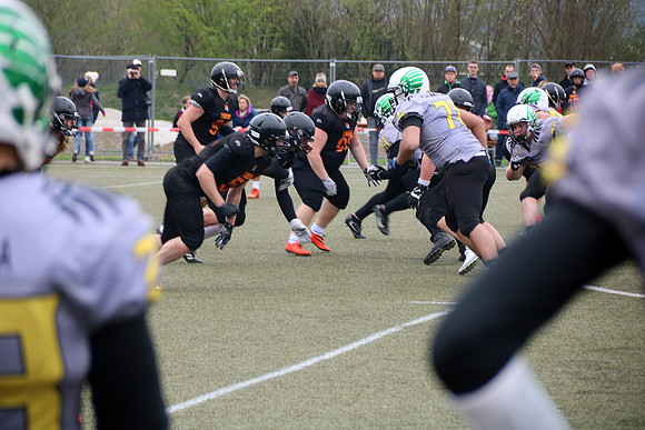 Salzburg Ducks gegen Domzale Tigers