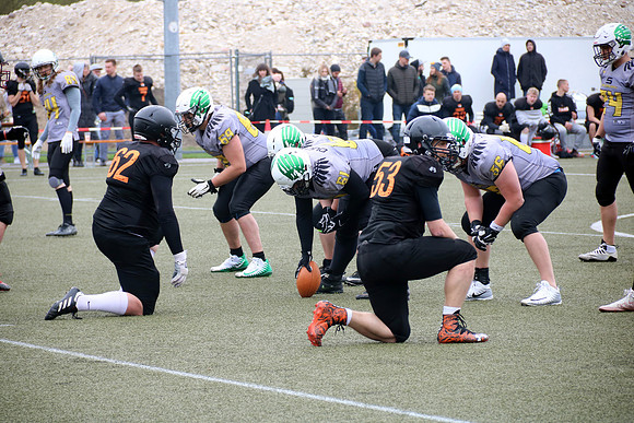 Salzburg Ducks gegen Domzale Tigers