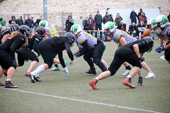 Salzburg Ducks gegen Domzale Tigers