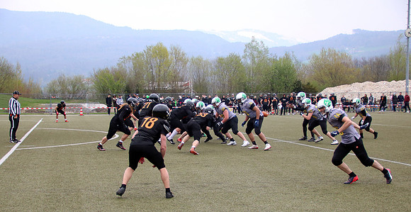 Salzburg Ducks gegen Domzale Tigers