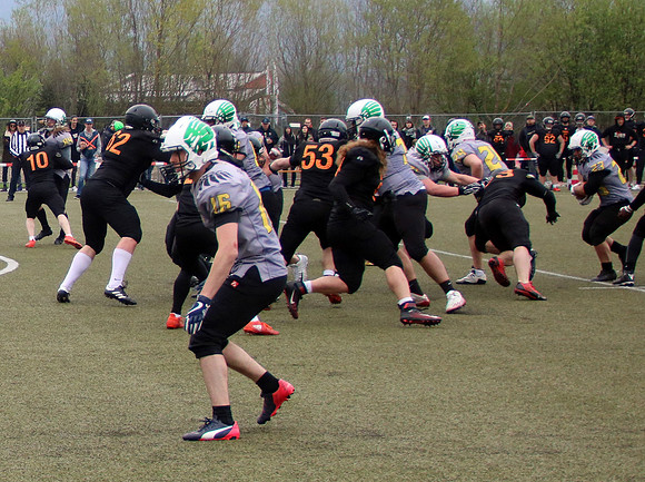 Salzburg Ducks gegen Domzale Tigers