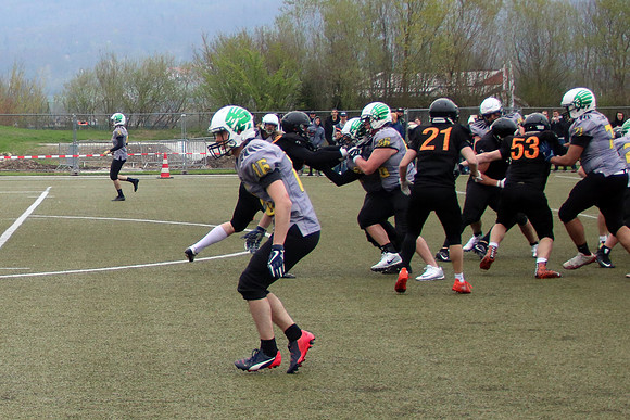 Salzburg Ducks gegen Domzale Tigers