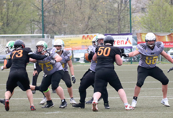 Salzburg Ducks gegen Domzale Tigers