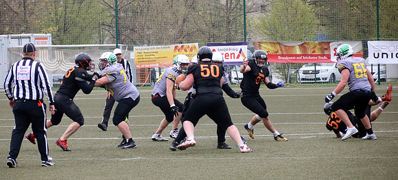 Salzburg Ducks gegen Domzale Tigers