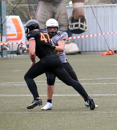 Salzburg Ducks gegen Domzale Tigers