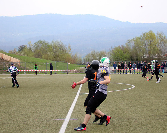 Salzburg Ducks gegen Domzale Tigers
