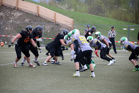 Salzburg Ducks gegen Domzale Tigers