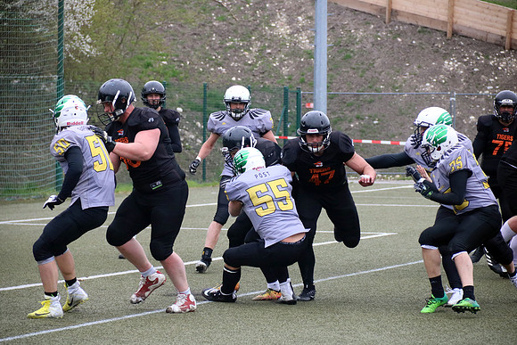 Salzburg Ducks gegen Domzale Tigers