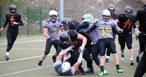 Salzburg Ducks gegen Domzale Tigers