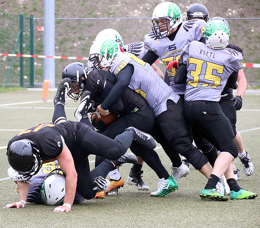 Salzburg Ducks gegen Domzale Tigers