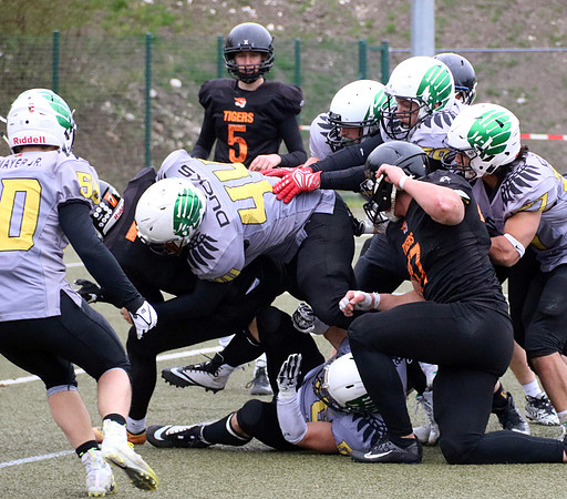 Salzburg Ducks gegen Domzale Tigers