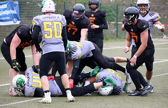 Salzburg Ducks gegen Domzale Tigers