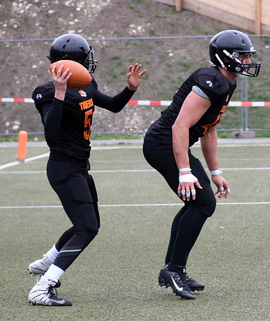 Salzburg Ducks gegen Domzale Tigers