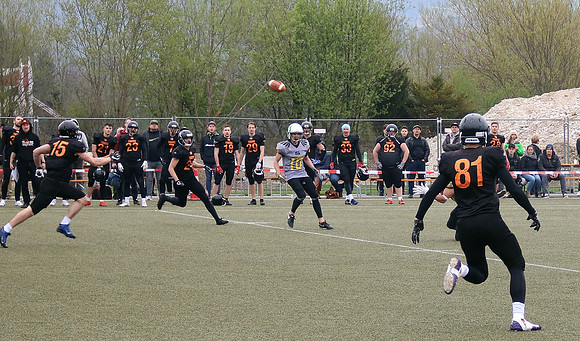 Salzburg Ducks gegen Domzale Tigers