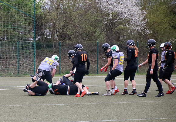 Salzburg Ducks gegen Domzale Tigers